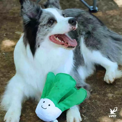 宠物玩具 | V-PET 我爱吃蔬菜 狗狗耐咬毛绒玩具 商品图2