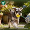 宠物玩具 | V-PET 鲜花 狗狗毛绒玩具 商品缩略图4