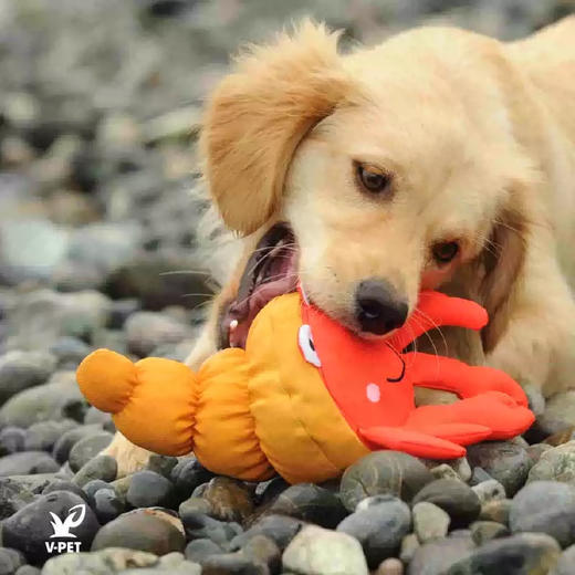 宠物玩具 | V-PET 拯救海洋 狗狗耐咬毛绒玩具 商品图3