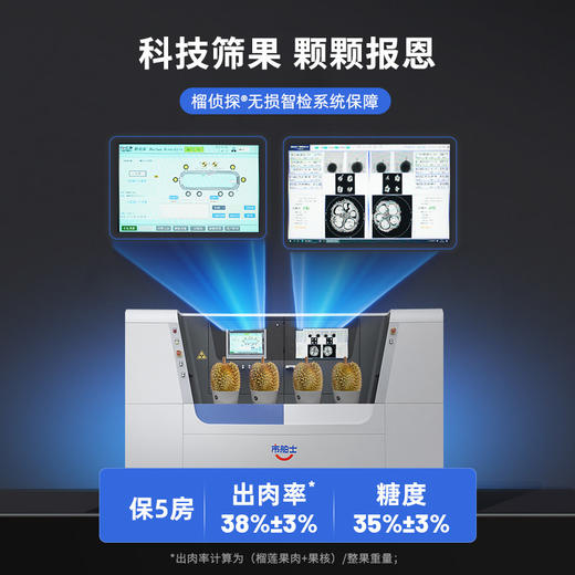 金枕当季鲜果！【科技筛果 颗颗报恩 树熟金枕 泰国进口】市舶士 泰国金枕鲜果榴莲（保5房） 商品图3