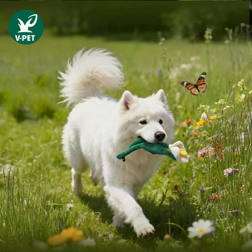 宠物玩具 | V-PET 鲜花 狗狗毛绒玩具 商品图3