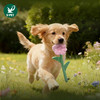 宠物玩具 | V-PET 鲜花 狗狗毛绒玩具 商品缩略图1