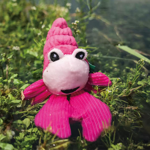 宠物玩具 | V-PET 海洋生物 狗狗趣味响纸玩具 商品图4