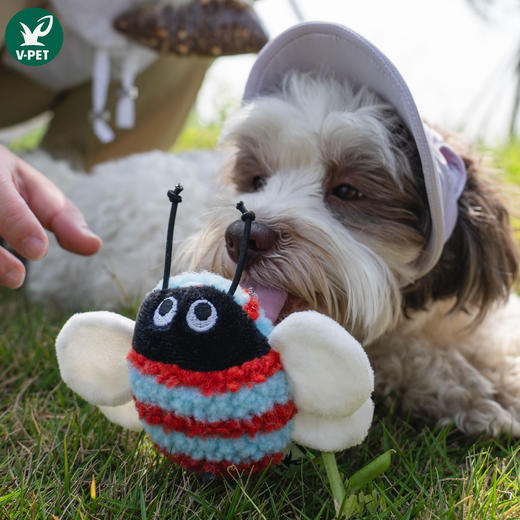 宠物玩具 | V-PET 蜜蜂 狗狗萌趣响纸玩具 商品图3