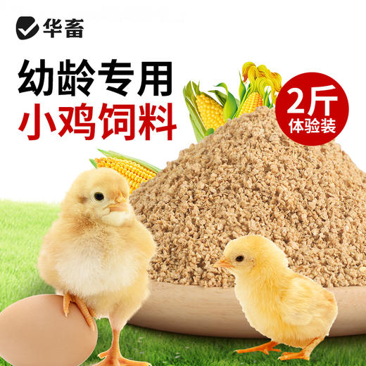 华畜小鸭子饲料喂鸭专用小鸟小黄鸭子小鹅小鸡吃的粮食物饲料雏鸭 商品图2