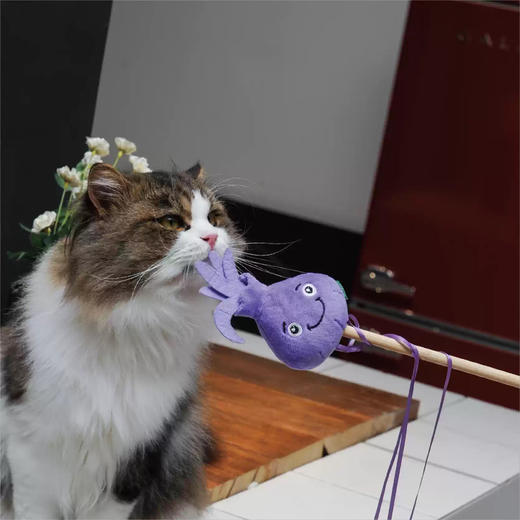 宠物玩具 | V-PET 老鼠叫猫薄荷球逗猫棒 猫猫猫咪玩具 商品图2