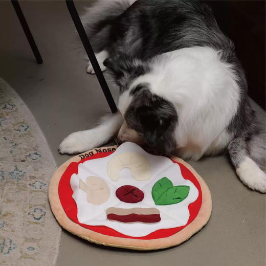 宠物玩具 | V-PET 嗅闻垫 狗狗互动玩具嗅闻垫 商品图4