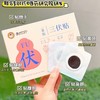 【冬病夏治正当时】李时珍·一条根 三伏贴 添加台湾名药金门一条根 复配八味中草药 驱寒祛湿通经络 舒缓颈肩腰腿 居家理疗神器 全家老小都能用 12贴/盒 商品缩略图0