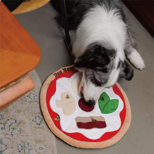 宠物玩具 | V-PET 嗅闻垫 狗狗互动玩具嗅闻垫 商品图2