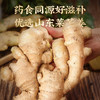 【买2发3 买3发5】时光萃·醋泡姜罐头 莱芜嫩姜+山西老陈醋 食养宝贝 全家都能吃 230g/瓶 商品缩略图3