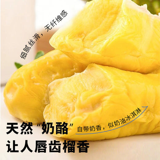【科技筛果 颗颗报恩 拒绝盲盒！】【马来西亚自然树熟 一果一码 溯源认证 液氮冷冻进口】市舶士 液氮冷冻猫山王D197整果榴莲（保底4房 坏果包赔） 商品图3
