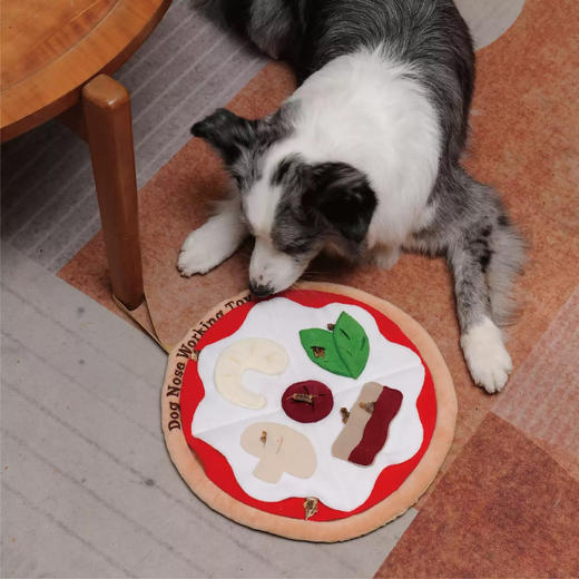 宠物玩具 | V-PET 嗅闻垫 狗狗互动玩具嗅闻垫 商品图1