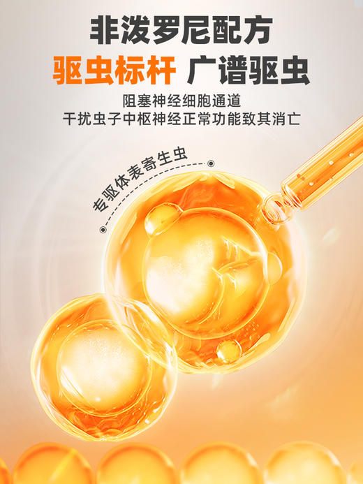 【推荐】普安特宠物驱虫药猫咪狗狗爱滴克非泼罗尼+芬苯达唑片 商品图1