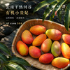 云南干热河谷有机芒果（基地直发-顺丰快递）| 现发小贵妃芒果，来自云南楚雄生产者：庄代康【合作生产，公平贸易】 商品缩略图9