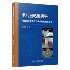 术后肠粘连探秘：气腹CT腹膜腔三维成像的创意应用