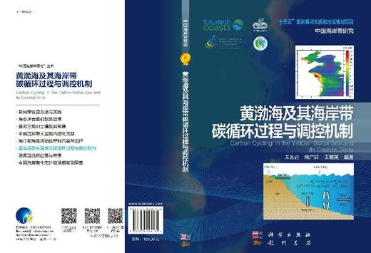 黄渤海及其海岸带碳循环过程与调控机制 王秀君，韩广轩，王菊英   9787030624185 商品图3