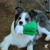 宠物玩具 | V-PET 我爱吃蔬菜 狗狗耐咬毛绒玩具 商品缩略图4