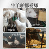 华畜牛羊混合舔砖40斤装 4种搭配混装 一箱多用 营养更均衡 微量元素 商品缩略图1
