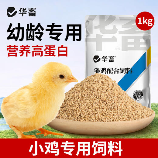 华畜小鸭子饲料喂鸭专用小鸟小黄鸭子小鹅小鸡吃的粮食物饲料雏鸭 商品图1