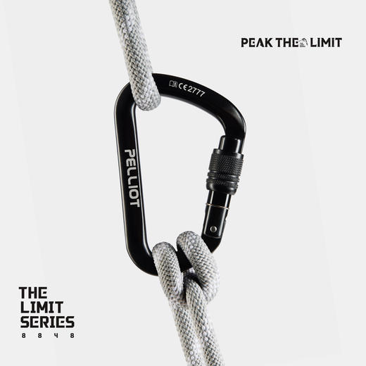 【THE LIMIT SERIES系列】伯希和户外极境全能型专业丝扣主锁 商品图4