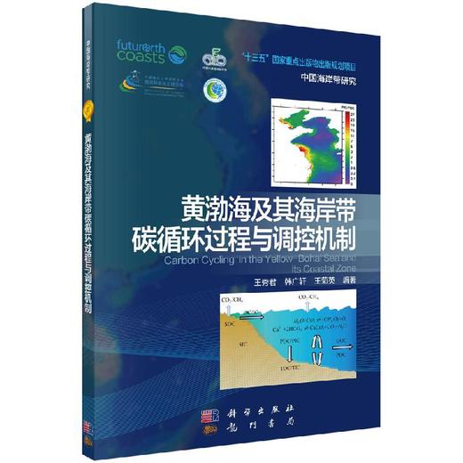 黄渤海及其海岸带碳循环过程与调控机制 王秀君，韩广轩，王菊英   9787030624185 商品图0