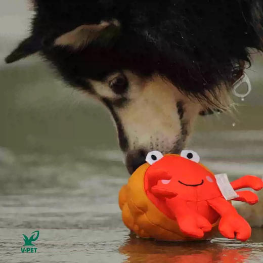 宠物玩具 | V-PET 拯救海洋 狗狗耐咬毛绒玩具 商品图2
