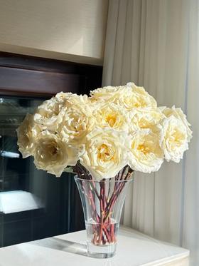 厄瓜多尔进口花材NEW MOON新月多头玫瑰花10支