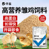 华畜小鸭子饲料喂鸭专用小鸟小黄鸭子小鹅小鸡吃的粮食物饲料雏鸭 商品缩略图0