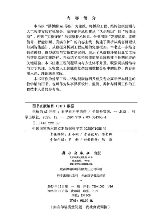 拱桥的AI寻疾：看见看不见的伤 商品图2