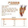 双汇85g蒜香烤肠香肠火腿肠 商品缩略图3