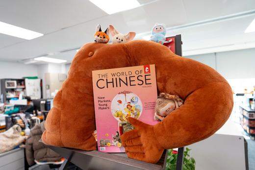 2025年合辑（赠限量小礼品） 商品图12