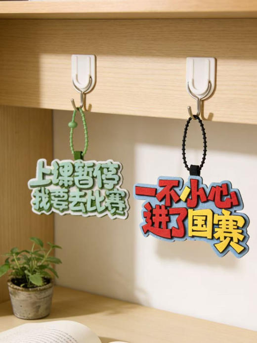 【包挂】一不小心进了国赛/上课暂停我要去比赛/一不小心进了省赛 商品图10