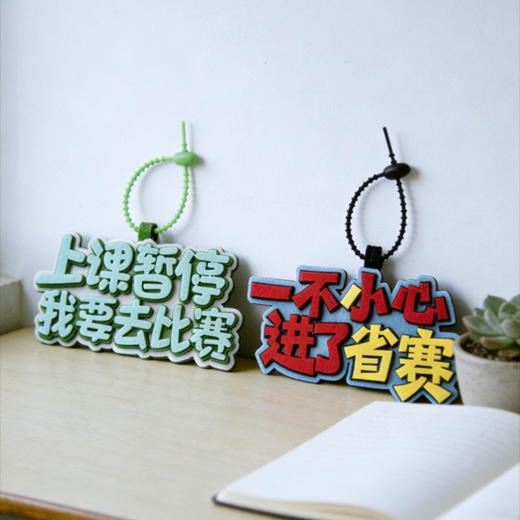 【包挂】一不小心进了国赛/上课暂停我要去比赛/一不小心进了省赛 商品图9