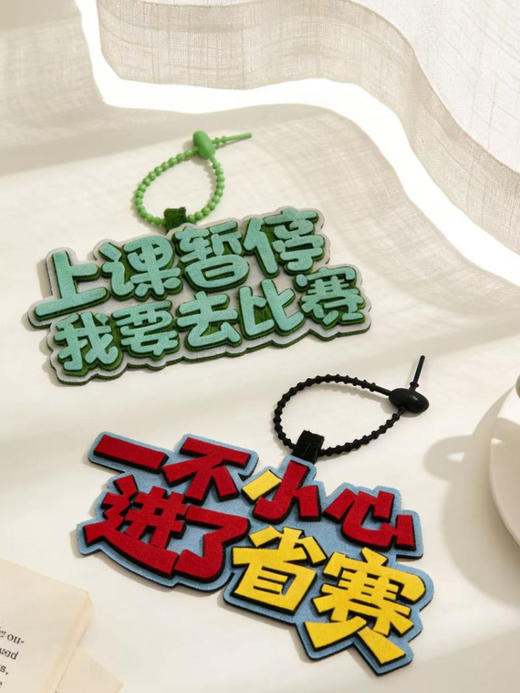 【包挂】一不小心进了国赛/上课暂停我要去比赛/一不小心进了省赛 商品图6