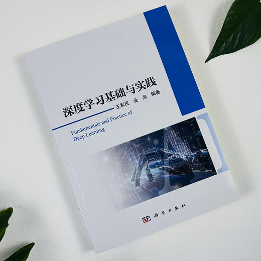 深度学习基础与实践 商品图1