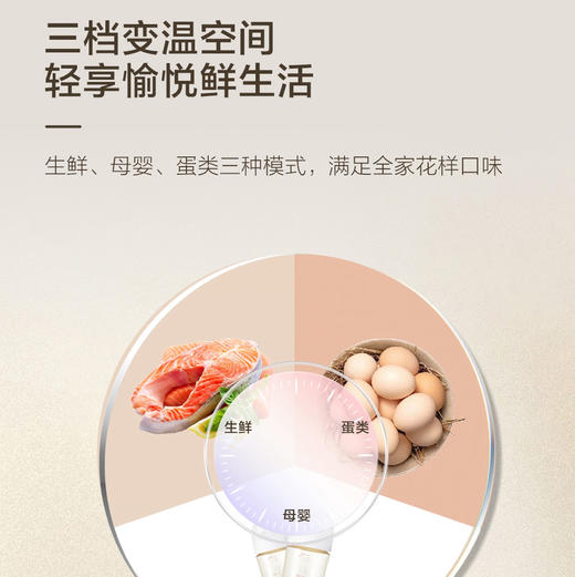 海尔（Haier）冰箱 BCD-501WGHTDEDF7U1 商品图8
