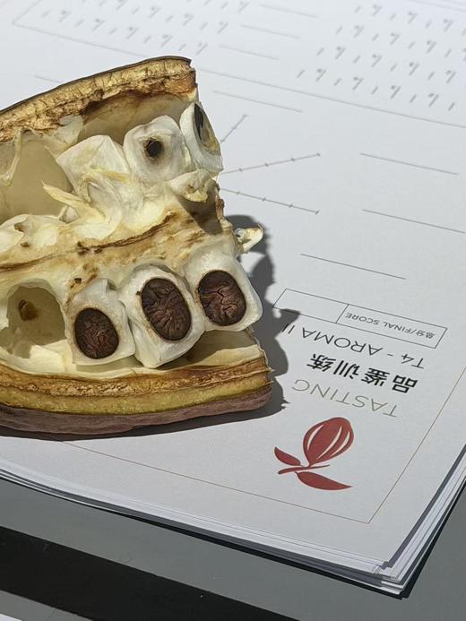 可可品鉴师 初级认证课程 ｜ CFCA专业课程- 上海-9月28-30日 商品图2