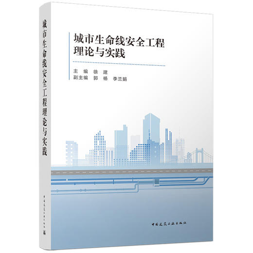 城市生命线安全工程理论与实践 商品图0