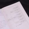 AI科研绘图 Nano Banana极速实战指南 论文配图AI辅助论文写作学术绘图科研论文插图 商品缩略图2
