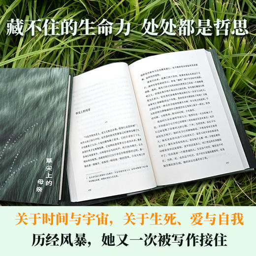 （印章寄语本 赠明信片）草尖上的母亲   余秀华随笔 商品图1