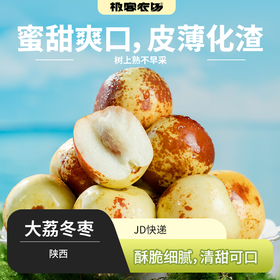 大荔冬枣丨树上熟 皮薄易化渣 肉质酥脆 蜜甜爽口 ⭐️京东快递