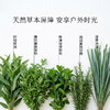 枕草子 安心植物精油户外喷雾 户外防护 舒缓叮咬不适 植物精油配方更适合孩子 商品缩略图2