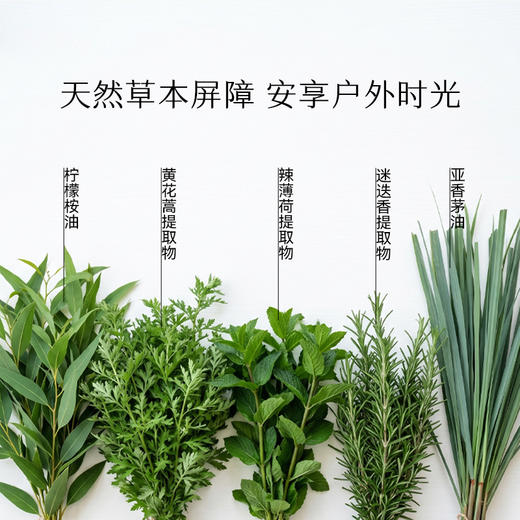 枕草子 安心植物精油户外喷雾 户外防护 舒缓叮咬不适 植物精油配方更适合孩子 商品图2