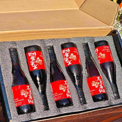 君燚庄园不老莓红酒 商品图5