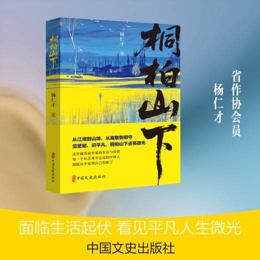 桐柏山下 商品图0