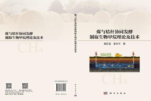 煤与秸秆协同发酵制取生物甲烷理论及技术 郭红玉 夏大平 9787030834607 商品图2