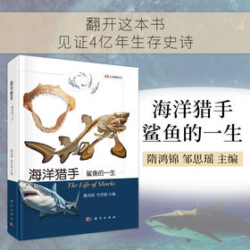 海洋猎手：鲨鱼的一生