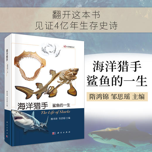 海洋猎手：鲨鱼的一生 商品图0