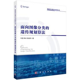 面向图像分类的遗传规划算法