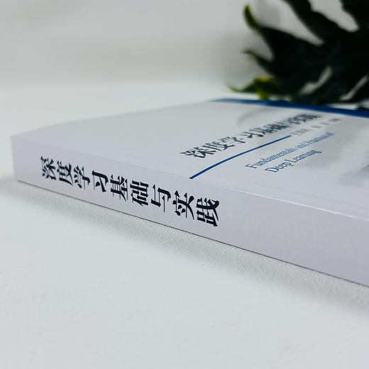深度学习基础与实践 商品图2